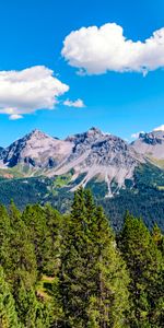 Sky,Mountains,Clouds,Rocks,Branches,Trees,Nature