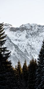 Sky,Mountains,Snow,Rocks,Spruce,Fir,Snow Covered,Snowbound,Nature