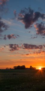 Sky,Nature,Grass,Clouds,Horizon,Morning,Field,Dawn