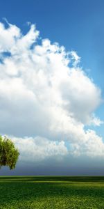 Sky,Nature,Landscape,Fields