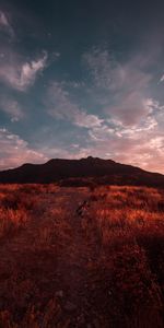 Herbe,Nature,Domaine,Champ,Sky,Coucher De Soleil,Photographe