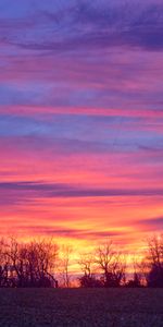 Sky,Nature,Trees,Horizon,Colorful