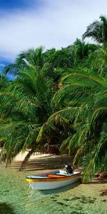 Sky,Palms,Landscape,Sea,Boats