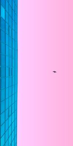 Cielo,Rosa,Edificio,Pájaro,Minimalismo,Rosado