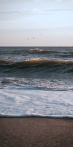 Sky,Sea,Coast,Birds,Nature,Waves