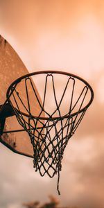 Sky,Shield,Basketball Net,Basketball Grid,Basketball Hoop,Basketball Ring,Sports,Basketball