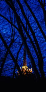 Sky,Shine,Light,Branches,Night,Structure,Dark