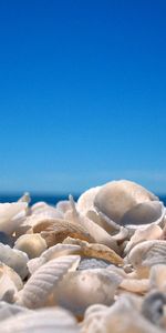 Sky,Shore,Bank,Nature,Shells,Beach