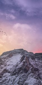 Sky,Stars,Mountain,Vertex,Top,Silhouette,Nature,Birds