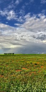 Sky,Summer,Field,Nature,Landscape