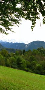 Sky,Summer,Relief,Slope,Glade,Trees,Polyana,Nature,Meadow,Gloomy