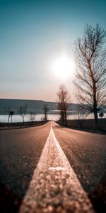 Sky,Trees,Direction,Road,Nature,Sunset