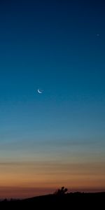 Sky,Twilight,Bush,Dusk,Nature,Moon