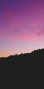 Sky,Wood,Tree,Dark,Night