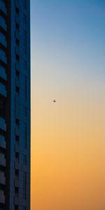 Skyscraper,Airplane,Dawn,Minimalism,Plane