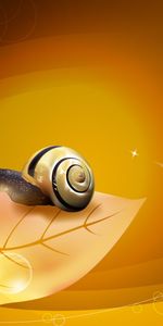 Snails,Background