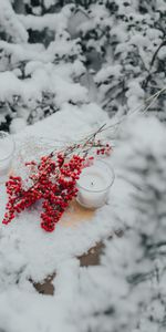 Snow,Berries,Miscellanea,Branches,Candles,Miscellaneous