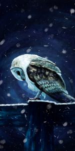 Snow,Bird,Art,Owl