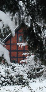 Snow,Branches,Branch,Spruce,Fir,Nature,Bricks,House