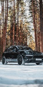 Voitures,Porsche,Forêt,Vue De Côté,Machine,Neige,Le Noir,Une Voiture