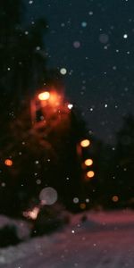 Snow,Dark,Blur,Smooth,Boquet,Glare,Bokeh,Night