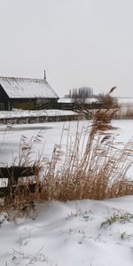 Village,Oreilles,Chaussures À Pointes,Cultiver,Nature,Neige,Froid,Du Froid,Ferme,Moulin,Loger,Maison