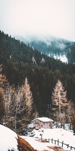 Brouillard,Nature,Neige,Forêt,Loger,Maison