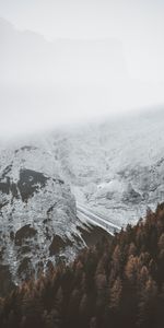 Forêt,Brouillard,Montagnes,Nature,Neige