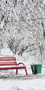 Nieve,Escarcha,Bancos,Urna,Invierno,Naturaleza,Frío