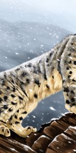 Opinion,Snow Leopard,Vue,Gros Chat,Noyaux,Fauve,Prédateur,Art