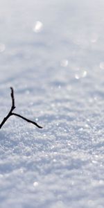 Snow,Macro,Shine,Branch,Snowballs,Snowfields,Brilliance