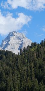 Montagne,Neige,Forêt,Nature,Arbres,Paysage