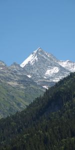 Naturaleza,Nieve,Montaña,Arriba,Bosque,Pendiente,Cuesta,Vértice