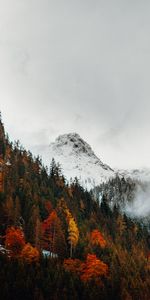 Naturaleza,Nieve,Montaña,Arriba,Bosque,Vértice,Otoño