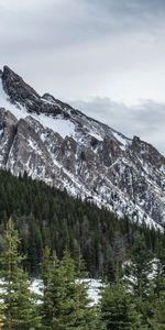 Paisaje,Naturaleza,Nieve,Montaña,Arriba,Bosque,Vértice