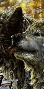 Snow,Pair,Language,Tongue,Tenderness,Wolfs,Couple,Love,Fantasy