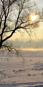 Nature,Briller,Lituanie,Polyana,Kaunas,Neige,Lumière,Arbres,Clairière,Brume