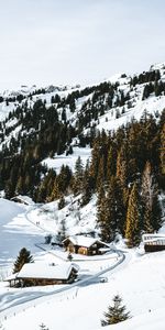 Naturaleza,Montañas,Nieve,Bosque,Pueblo,Cubierto De Nieve,Nevado