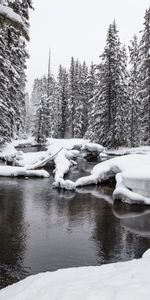 Snow,Water,Forest,Nature