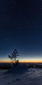 Noche,Nieve,Madera,Nevado,Cubierto De Nieve,Naturaleza,Árbol,Cielo Estrellado