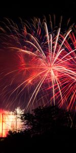 Sparks,Wood,Tree,Salute,Dark