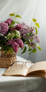 Lilas,Lunettes,Fleurs,Livre