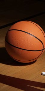 Sport,Grille,Siffler,Basketball,Basket Ball