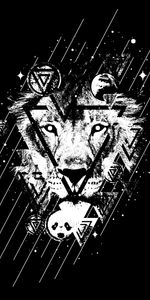 Chb,Un Lion,Triangles,P C,Taches,Lion,Lignes,Art