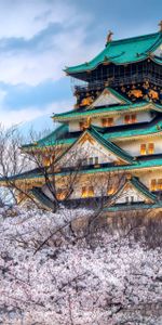 Spring,Japan,City,Sky,Color,Temple,Cities,Sakura