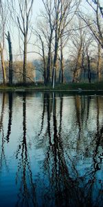 Parc,Nature,Le Parc,Lac,Source,Arbres,Eau,Printemps