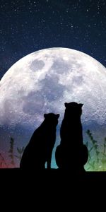 Starry Sky,Animals,Silhouettes,Moon,Art