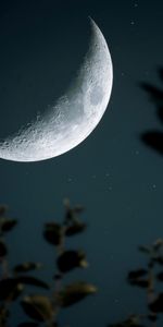 Starry Sky,Branch,Nature,Crater,Moon