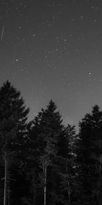 Naturaleza,Noche,Bw,Cielo Estrellado,Chb