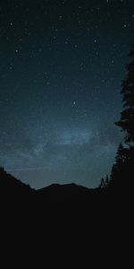 Starry Sky,Hill,Trees,Night,Dark